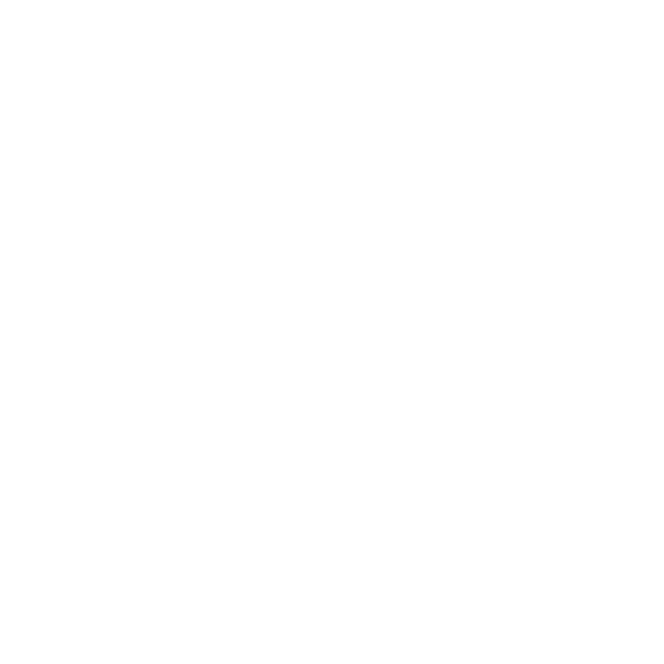 Frozen Fruits2